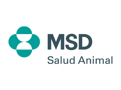 10 msd
