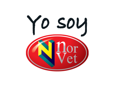 13 norvet